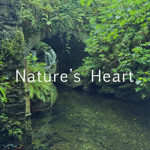 Nature's Heart