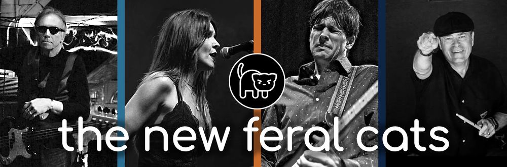 The New Feral Cats performing live, featuring Lindsay Mattson on vocals, Ross William Perry on guitar, and Nick Zwack on drums.