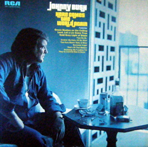 2/2: Johnny Bush - Here Comes The World Again episode artwork