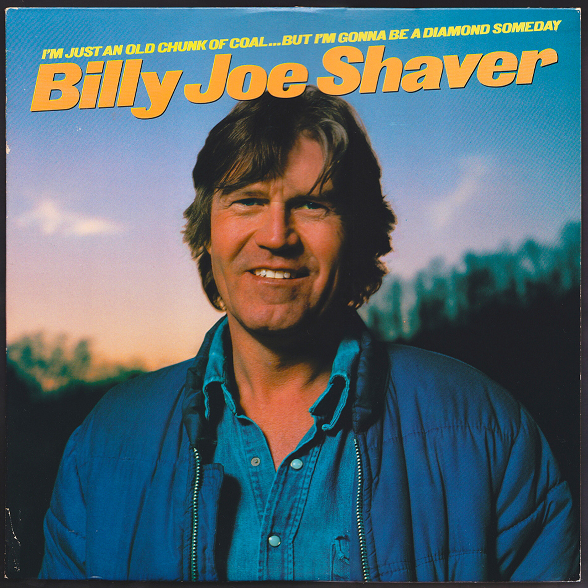Billy Joe Shaver - I'm Just An Old Chunk Of Coal episode artwork