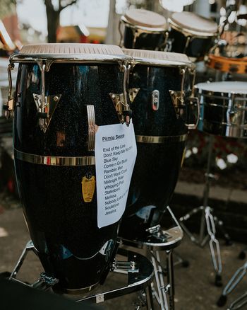Painesville Party in the Park, 2017. Photo: Kevin Morley

