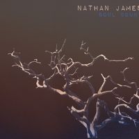 Soul Count by Nathan James