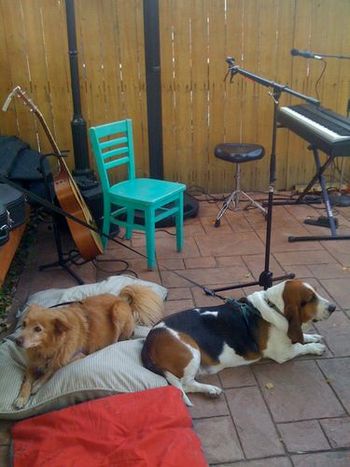 Special guests Hector & Charlie @ Highland Cork & Coffee - 2009
