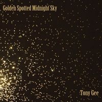 Golden Spotted Midnight Sky by Tony Gee