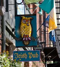 Stark Raving Plaid at Owl & Thistle Pub