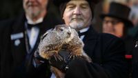 Punxsutawney Groundhog Festival 2020