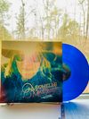 1977 - Clear Blue Vinyl (2022) (SIGNED)