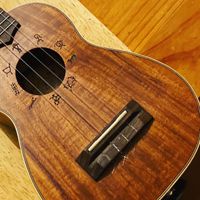 Maldon Folk Festival - Fingerstyle Ukulele Workshop, RSL Hall, 
