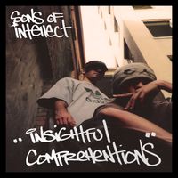 Insightful Comprehentions  by Sons of Intellect