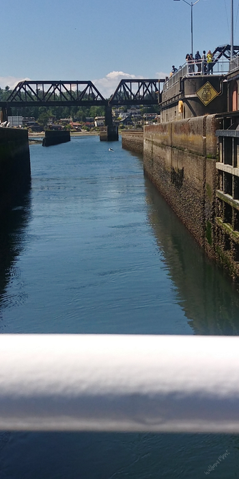 Ballard Locks
