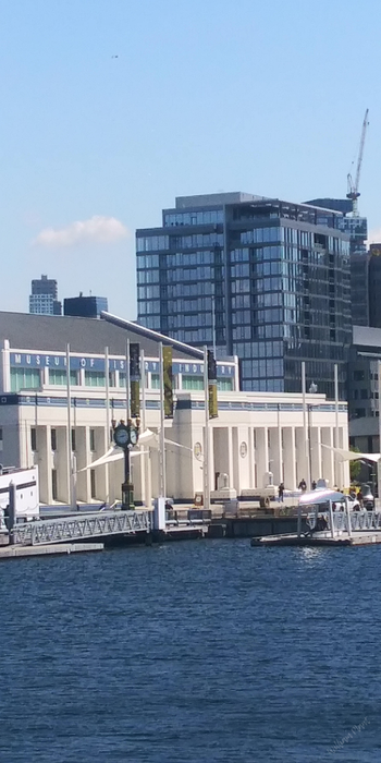 Lake Union
