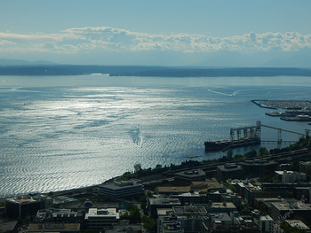 Bay Front
