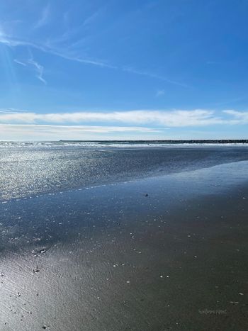 Ocean View Park
