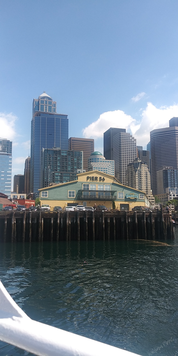 Seattle pier 55
