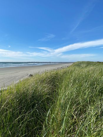 West Port (Pacific Northwest)
