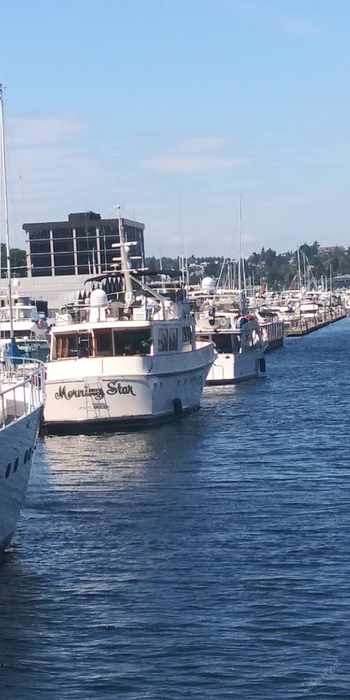 Lake Union
