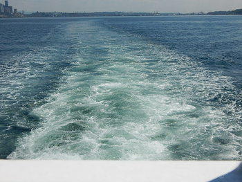 Puget Sound
