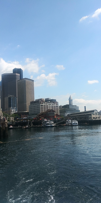 Pier 55
