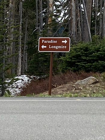 Road to Paradise
