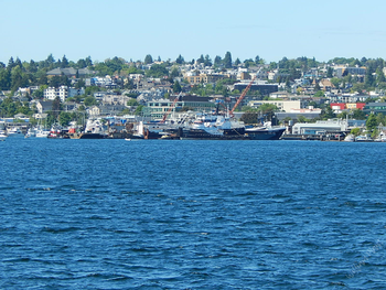 Lake Union

