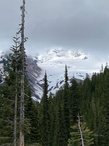 Paradise view
