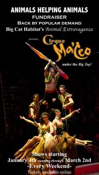 Cirque Ma C’eo