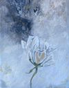 Into The Woods - Silver Flower (5x7")