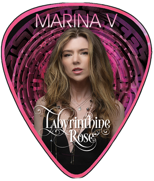 Labyrinthine Rose Guitar pick