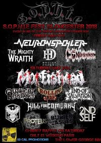 SOPHIE FEST GLOUCESTER