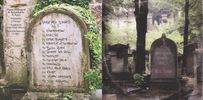 Graveyard Sonnets, Vol.1 - CD
