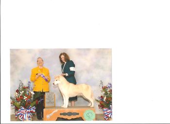 Best of Breed Birmingham
