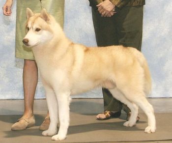 Major reserve at SHCGA specialty 4/2010
