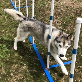 AGILITY PRACTICE
