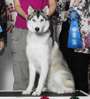 SHCA NATIONAL SPECIALTY 2019
