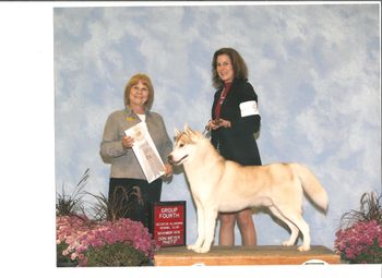 Breed by Exhibitor
Group[ 4
