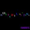 HOLYCHICKENFUNK   - CD