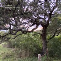 Hill Country Folk Music by Terry Klein