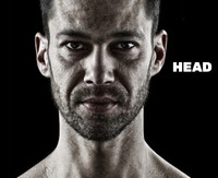 HEAD by John Paul Zaccarini
