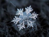 Yule - Solstice Service