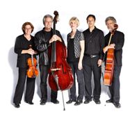 Stringtet 
