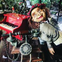 Mullumbimby Music Festival
