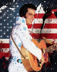 Danny Vernon Illusion of Elvis 