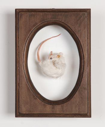 Mouse
