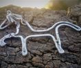 Celtic Lusitanian Horse Pendant