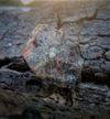 Muscovite Quartz Gemstone
