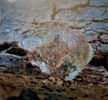 Muscovite Quartz Gemstone