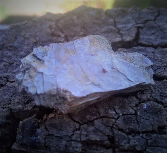 Muscovite
