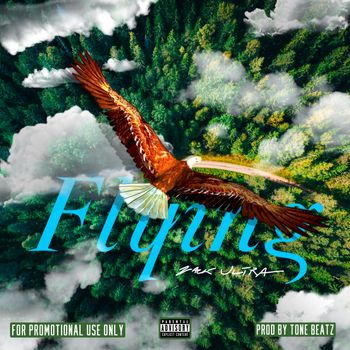 
Flying


