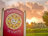 Bo Rains @ Bellview Winery