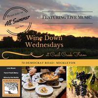 Solo Performance at Wine Down Wednesday Residency